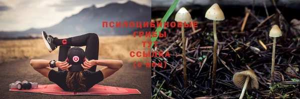 мдпв Верхнеуральск