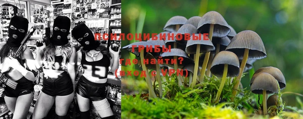 дживик Бронницы