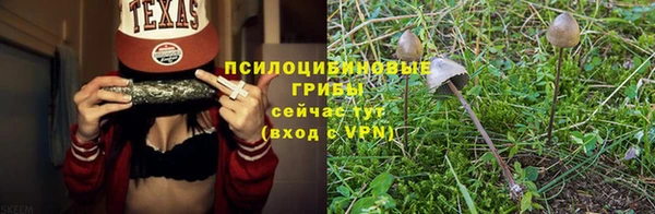 герыч Бородино