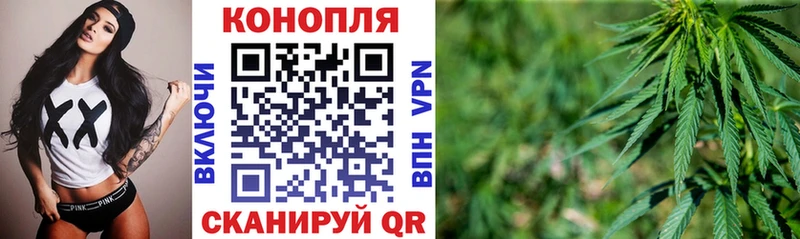 Каннабис гибрид  где купить наркоту  Гороховец 